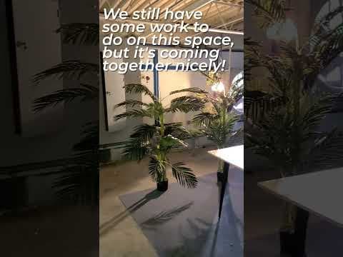 Part 3 of our loft remodel! #short #remodel #renovation #studiovlog #studiospace