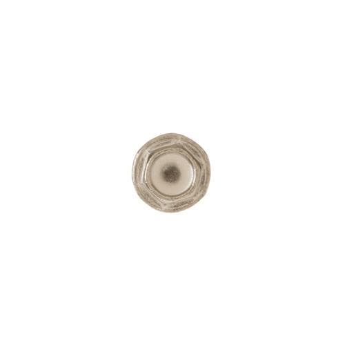 SDWB01T10017 wb01t10017-ap2007612-screw-8-18-brass-steel