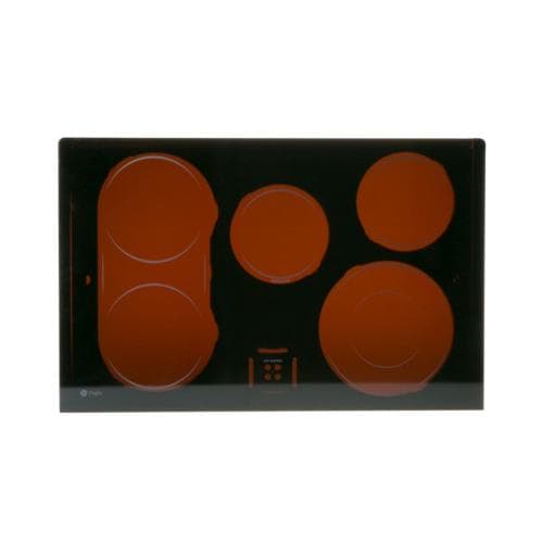 SDWB62T10528 wb62t10528-washer-glass-assembly