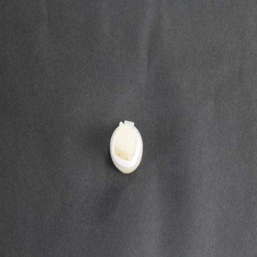 SD297006800 297006800-AP3844829-bearing-hinge-bottom