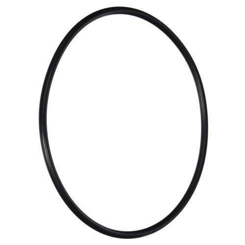 SD51011900 51011900-o-ring-filter