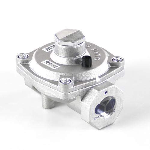 SDWB19T10078 WB19T10078-regulator-convert-pressure