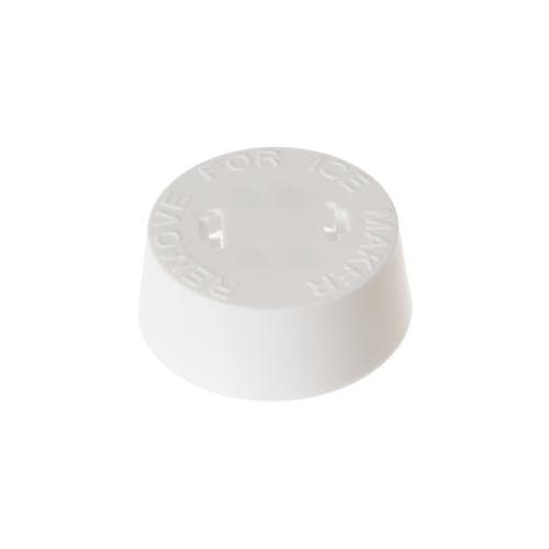 SDWR02X11123 wr02x11123-cover-im-receptacle